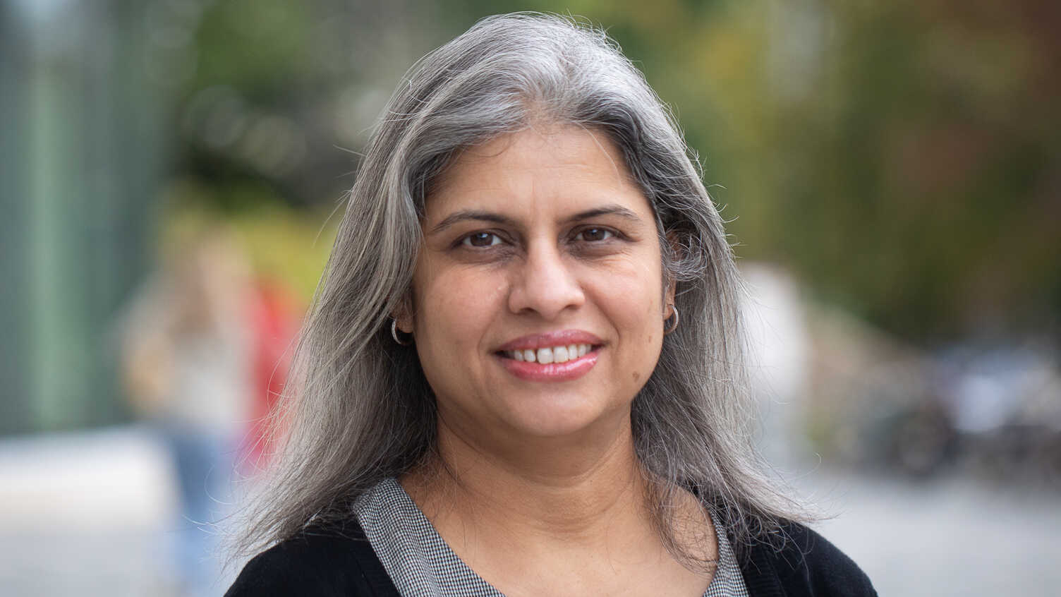 Professor Parveen Ali